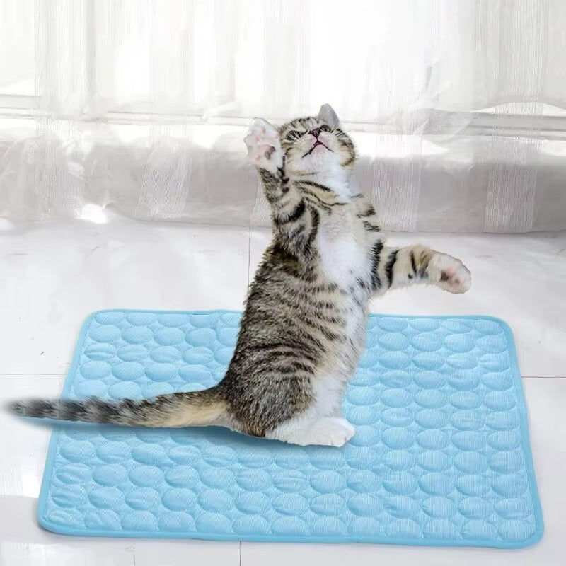 Haustier-Kühlmatte für Sommer – Kühlendes Bett für Katzen & kleine Hunde