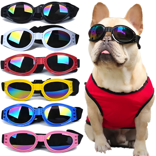 Hunde & Katzen Sonnenbrille – UV-Schutz