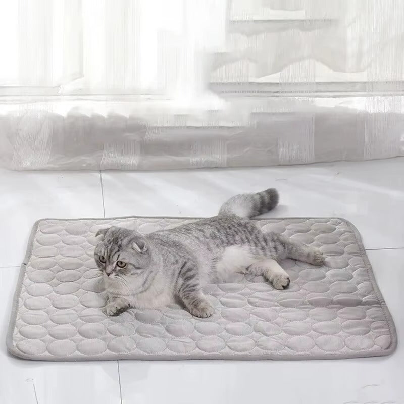 Haustier-Kühlmatte für Sommer – Kühlendes Bett für Katzen & kleine Hunde