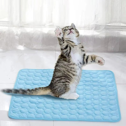 Haustier-Kühlmatte für Sommer – Kühlendes Bett für Katzen & kleine Hunde