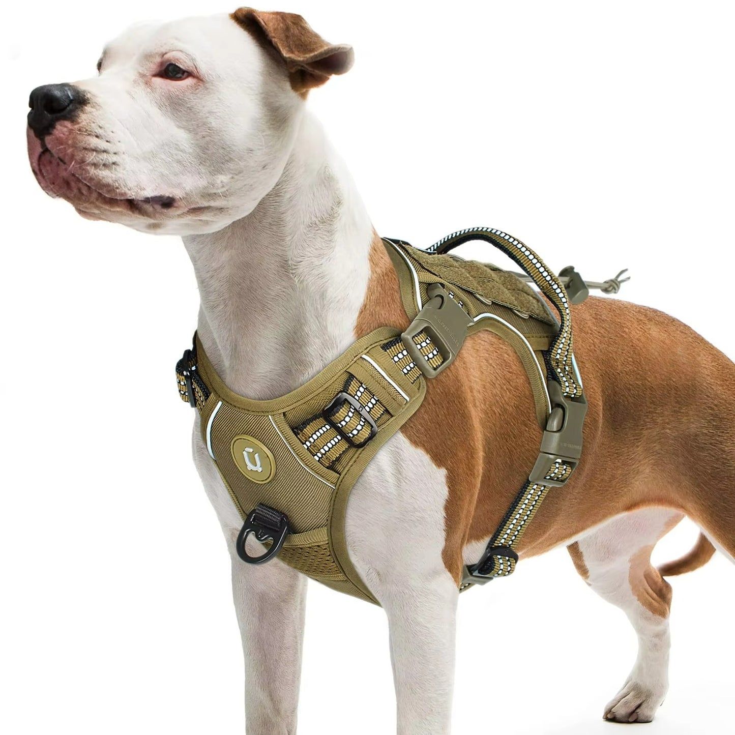 Taktisches Hundegeschirr mit MOLLE-System – Verstellbar & Atmungsaktiv
