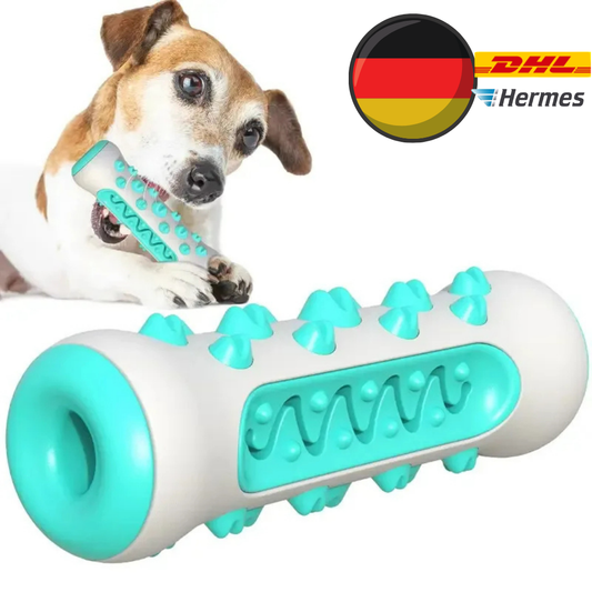 Hundespielzeug zum Kauen – Zahnreinigung & frischer Atem