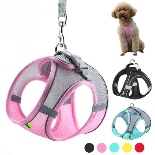 Leine für kleine Hunde – Verstellbar & Atmungsaktiv