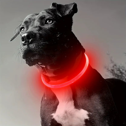 Sicheres LED-Halsband für Ihren Hund