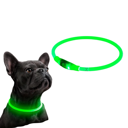 Sicheres LED-Halsband für Ihren Hund