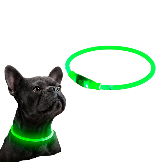 Sicheres LED-Halsband für Ihren Hund
